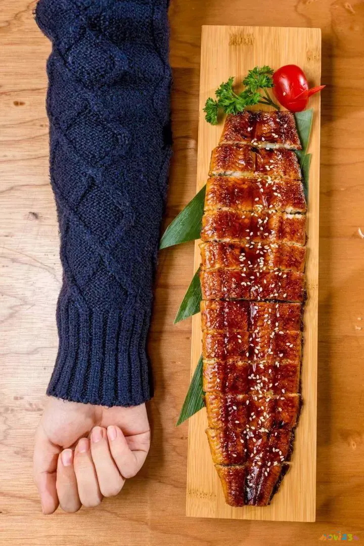 鳗鱼烧肉做法大全家常_鳗鱼的家常做法_可乐鸡翅的家常做法 家常