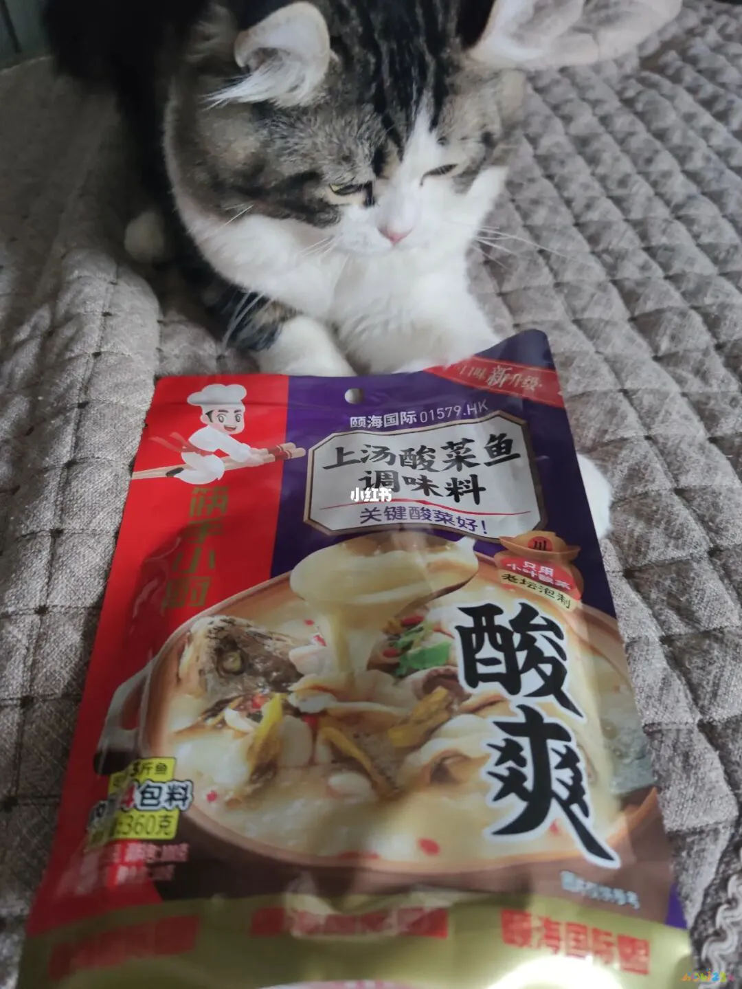 清炖鳕鱼汤的家常做法_清炖鳕鱼汤的做法_家常汤做法鳕鱼清炖窍门