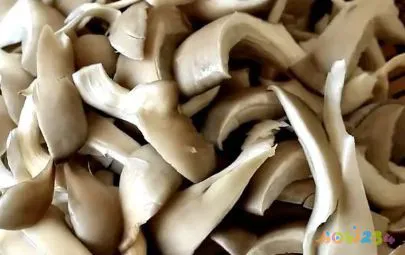 干蘑菇的做法大全家常_干蘑菇菜谱_蘑菇怎么做蘑菇干