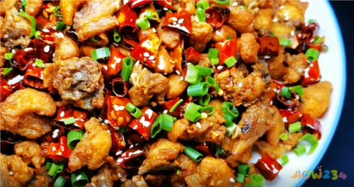 蒜苗炒肉做法大全家常_鸡脯肉做法大全家常_家常肉菜做法大全