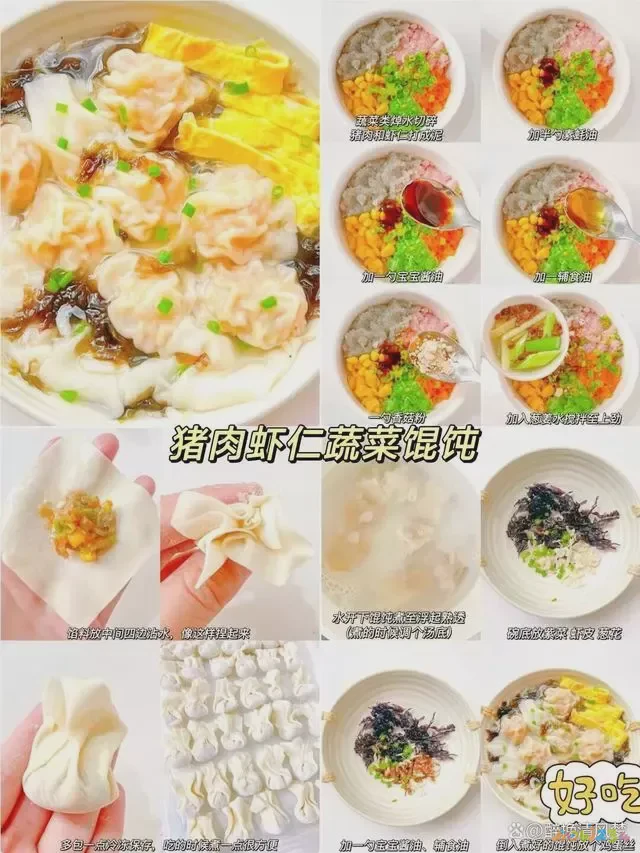 家常馄饨馅的做法_正宗馄饨馅视频教程_馄饨馅儿的做法视频