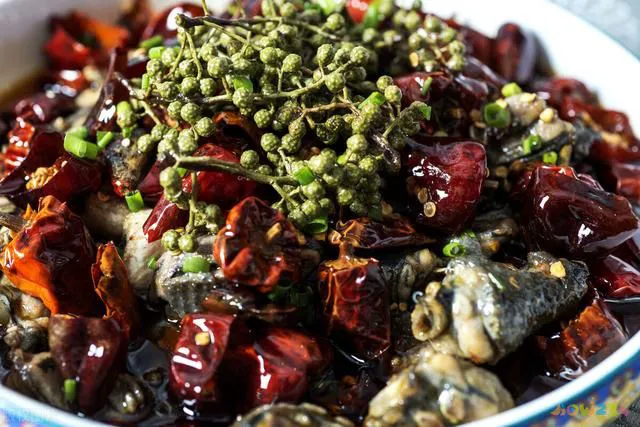 四川30个冷知识（15个有关四川的冷知识）(14)