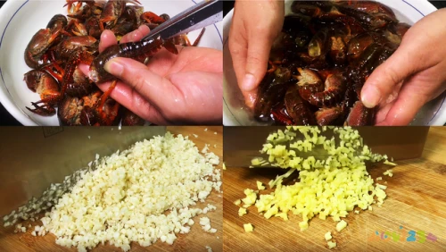 鸡脯肉做法大全家常_蒜苗炒肉做法大全家常_家常肉菜做法大全