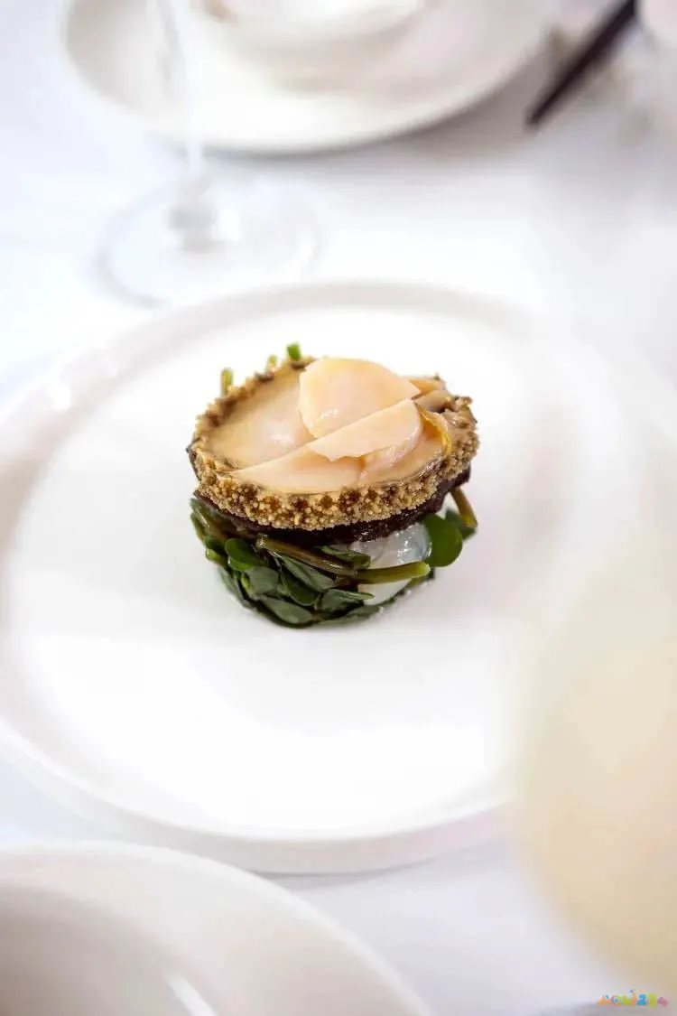 水煮鸭的做法大全家常_水煮活鱼的家常做法_水煮鱼片的家常做法