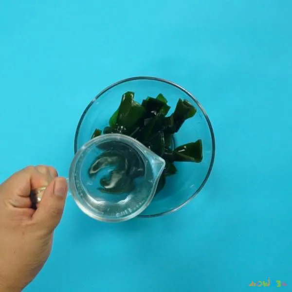 家常滚汤类菜谱大全_家常滚汤_滚汤菜谱