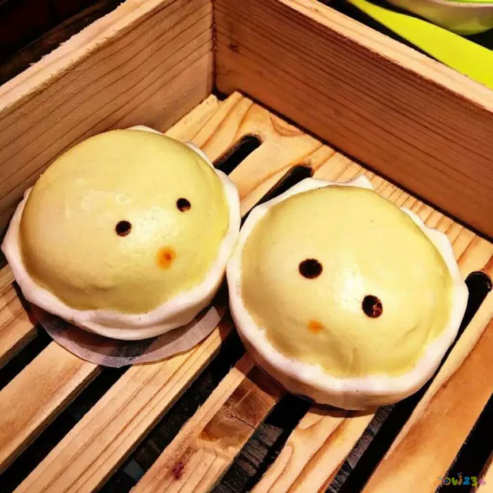 清炖排骨火锅做法大全家常做法大全_家常火锅简单做法大全_家常火锅大全