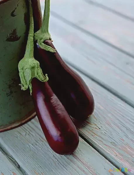 茄子的家常做法_鱼香茄子家常做法_茄子家常做法简单又好吃