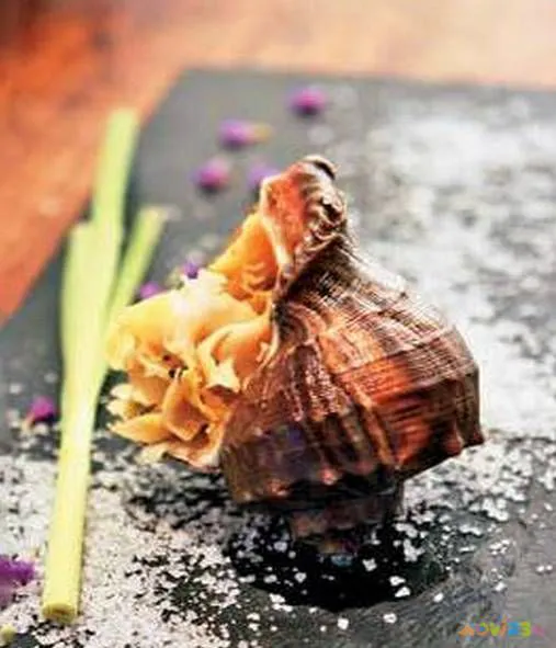 海螺肉干怎么做好吃_干海螺肉片_干海螺肉的家常做法