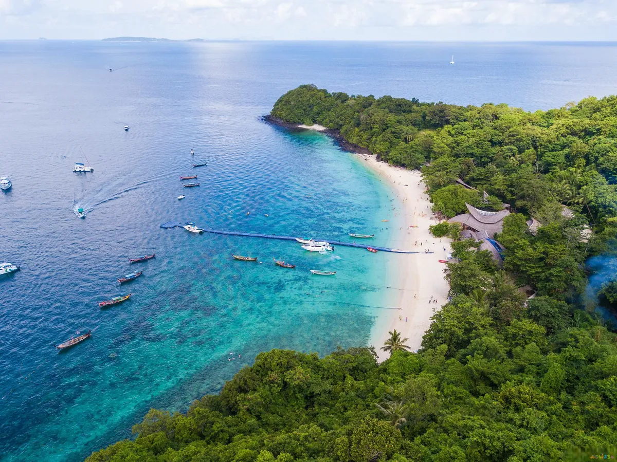 家常做法清蒸鱼鸦片怎么做_家常清蒸鸦片鱼的做法_清蒸鸦片鱼图片无水印