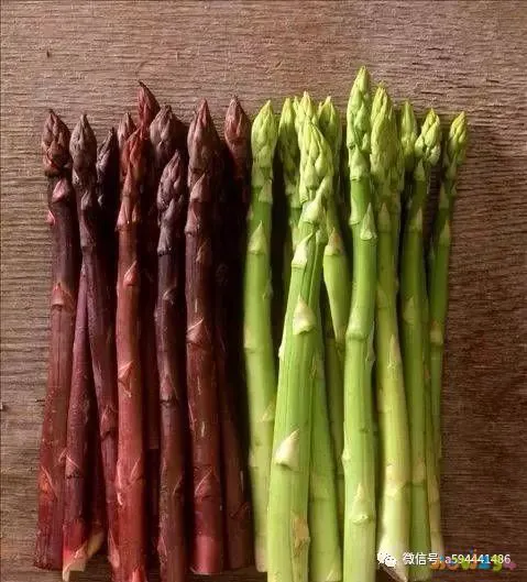 炒刀削面的家常做法_炒丝瓜炒肉的家常做法_炒蒜苔炒肉的家常做法