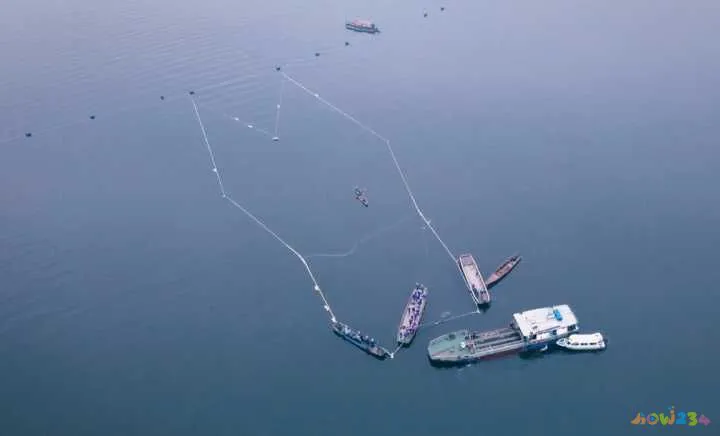 海鲈鱼做法大全家常_家常梭鲈鱼的做法_清蒸鲈鱼的家常做法