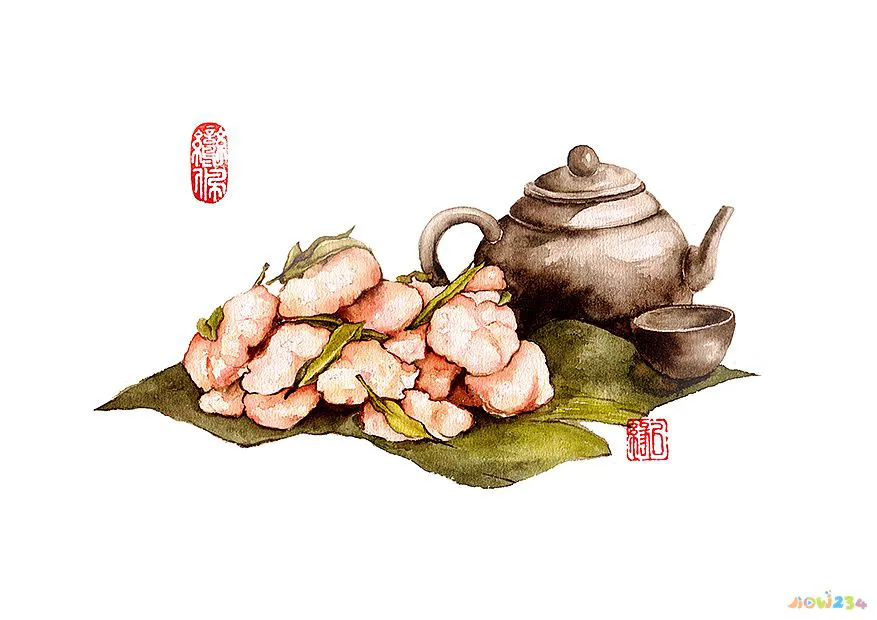 家常肴肉的做法_家常素菜的家常做法_鸭肉家常做法大全家常