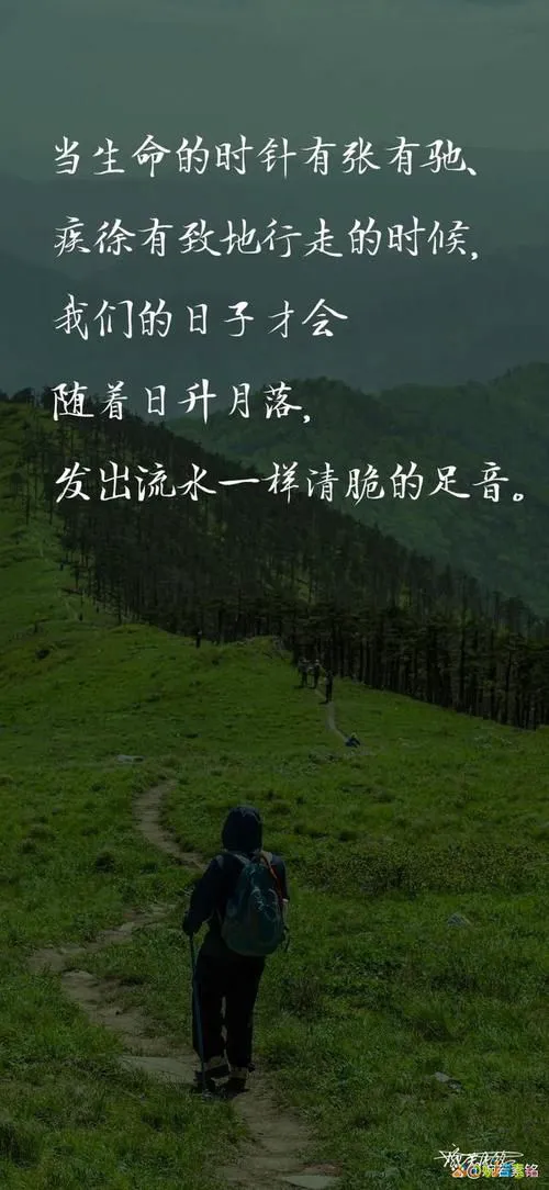 芋烧鸡怎么做好吃_芋儿烧鸡的家常做法_芋儿烧鸡的做法家常做法