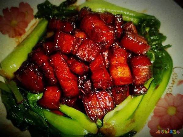如何让红烧肉好吃_文怡家常菜 红烧肉_如何把红烧肉做的不腻