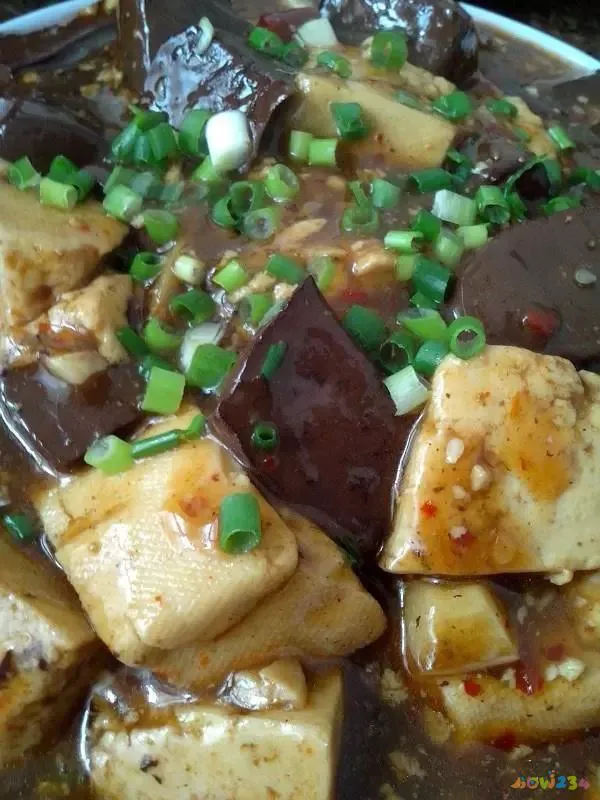 家常红烧大肠做法大全_红烧大肠的家常做法_家常红烧大肠做法视频