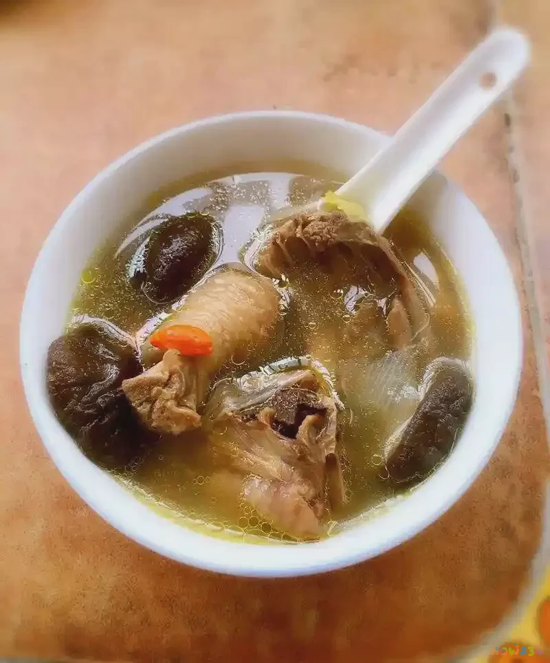 秋季养生菜谱大全及做法窍门_秋季养生家常菜_养生秋季家常菜有哪些