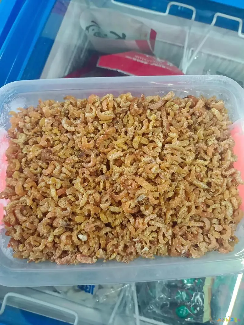 海米的家常做法_海米咋做_海米的正宗做法