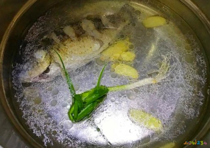 清炖鱼的家常做法_清炖鲤鱼汤的家常做法_清炖鲈鱼家常做法大全