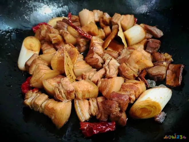 家常炖肉的做法_家常做法炖肉怎么做_炖肉的家常做法