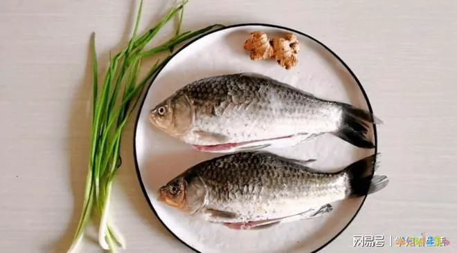 家常炖鲫鱼_红烧鲫鱼炖豆腐的家常做法_炖鲫鱼的家常做法