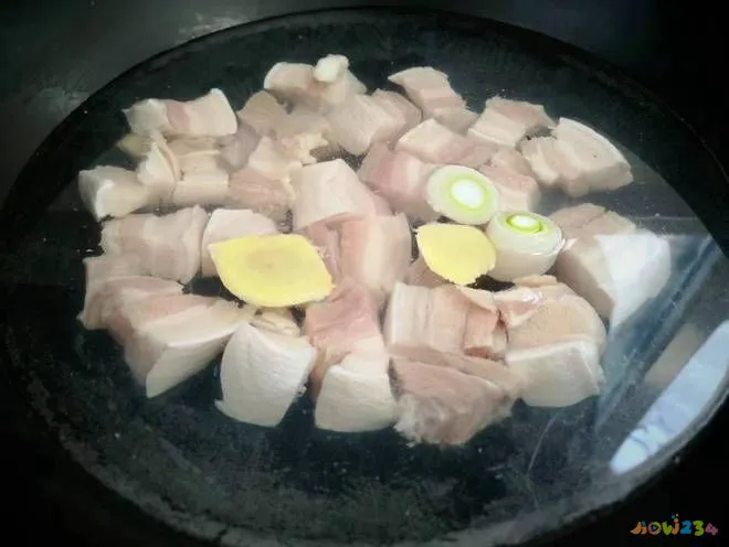 家常炖肉的做法_家常做法炖肉怎么做_炖肉的家常做法