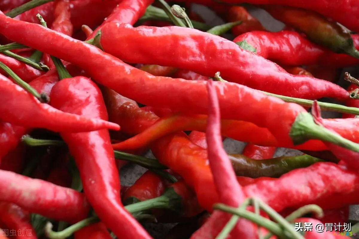 家常自制香辣酱的做法_家常蒜蓉辣酱的做法_辣酱炒鱿鱼的家常做法