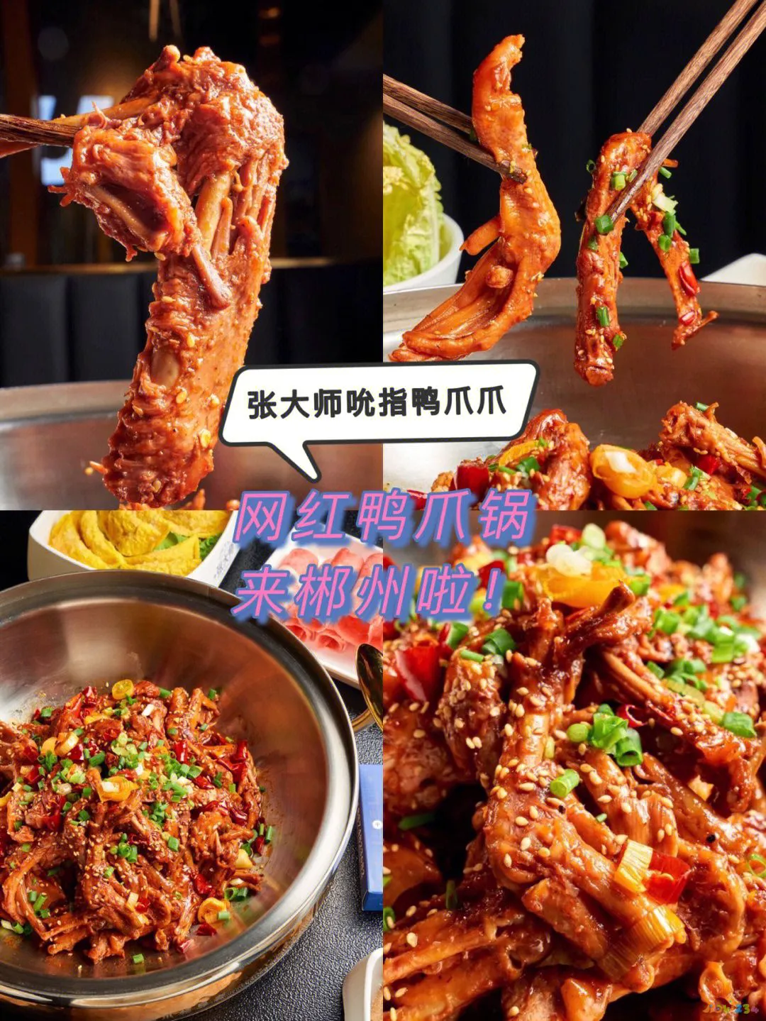 干锅鸭头家常做法_干锅辣鸭头家常做法_鸭头的家常做法