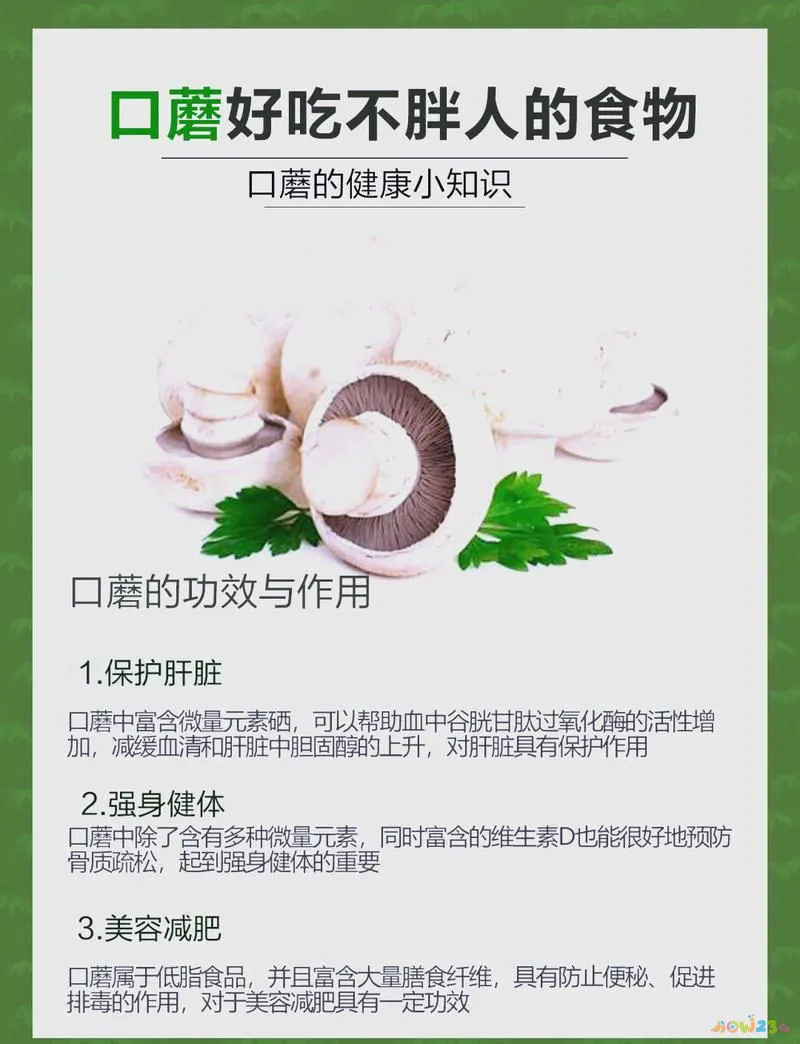 干蘑菇的做法大全家常_各种蘑菇的做法大全干_蘑菇怎么做蘑菇干