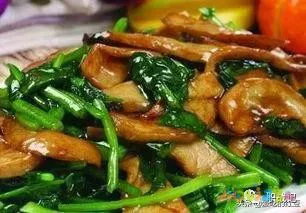 家常小炒食谱_200道家常小炒_家常小炒100大全窍门