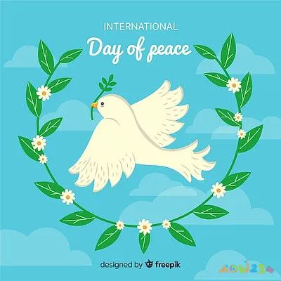 电磁炉怎么做菜_电磁炉怎么做好吃的_电磁炉的家常做法