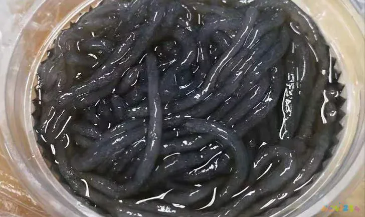 干海螺肉片_海螺干肉的做法大全_干海螺肉的家常做法