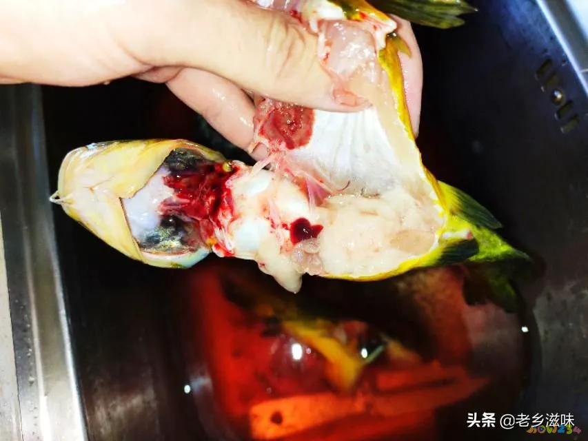 三道鳞鱼的家常做法_炖三道鳞的家常做法图_鳞炸鲫鱼做法大全家常