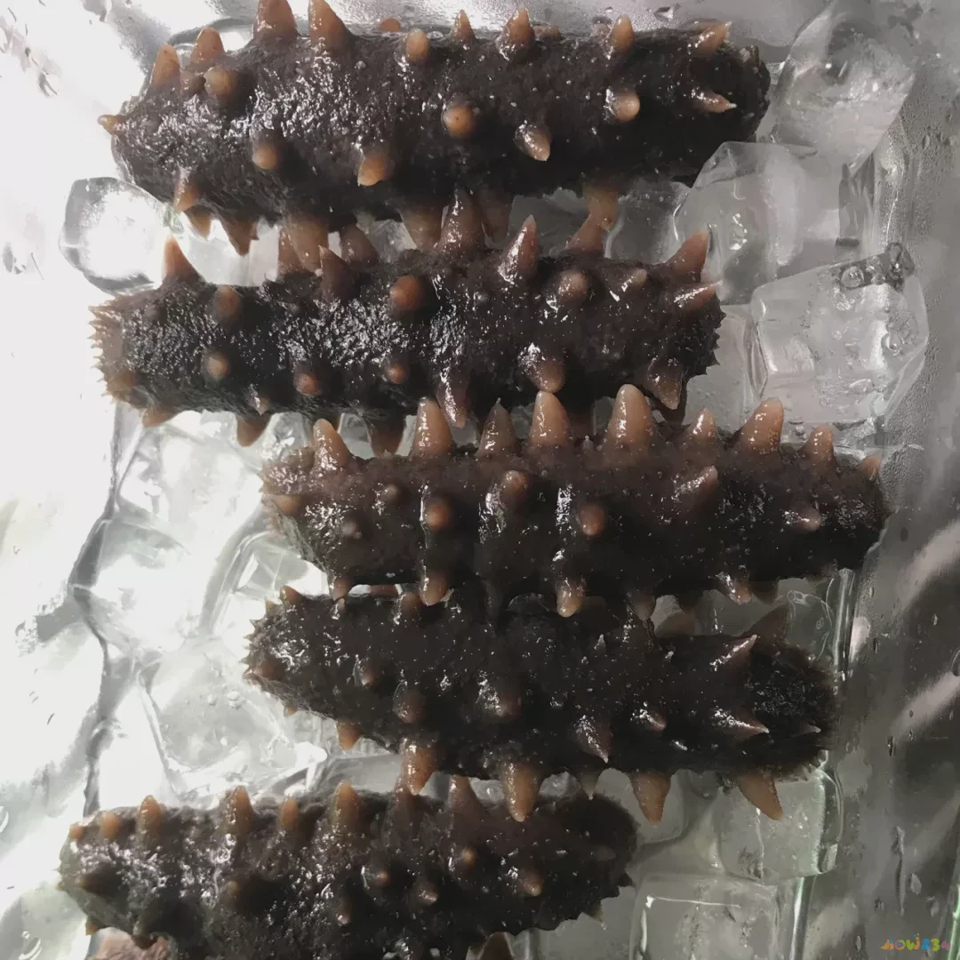 葱烧海参咋做_葱烧海参怎样烧好吃_葱烧海参的家常做法