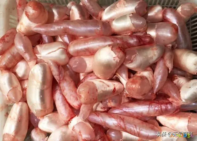 干鱼肚的家常做法_如何做干鱼肚_干鱼肚的家常做法窍门