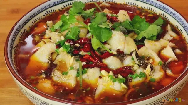 家常菜四川菜谱_家常菜四川菜_四川家常菜