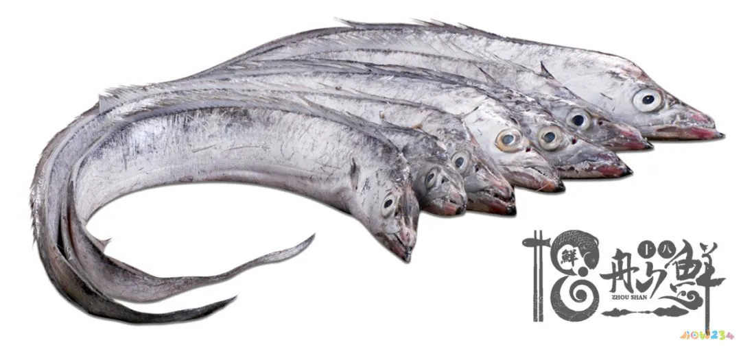 舟山鱼鲞怎么做好吃_舟山鱼好吃吗_舟山家常鱼