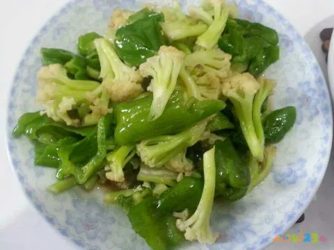 天天饮食十年典藏家常保健菜_健康家常菜_最爱吃的家常肉菜