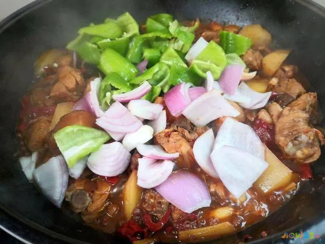 炖肉的家常做法_家常炖肉的做法_家常做法炖肉怎么做