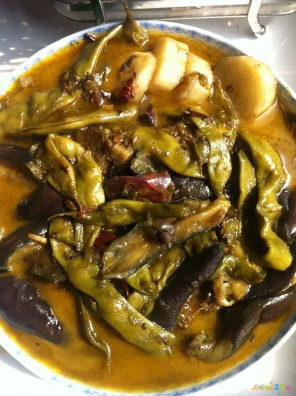 红烧茄子的家常做法 正宗的做法_风味茄子家常做法_茄子家常做法