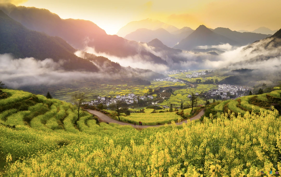 年糕烧板鸭的做法大全窍门_板鸭烧年糕家常做法_年糕烧鸭制作方法