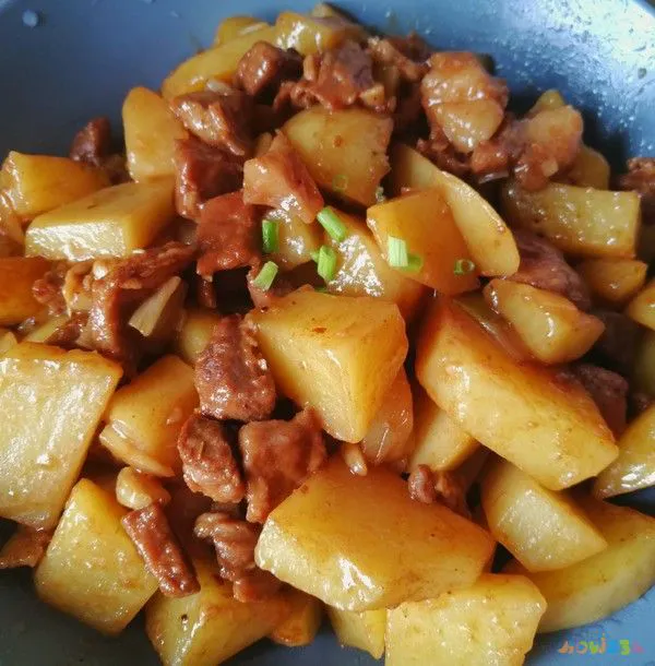 茄子炖肉的家常做法_茄子家常做法炖肉窍门_茄子家常做法炖肉视频