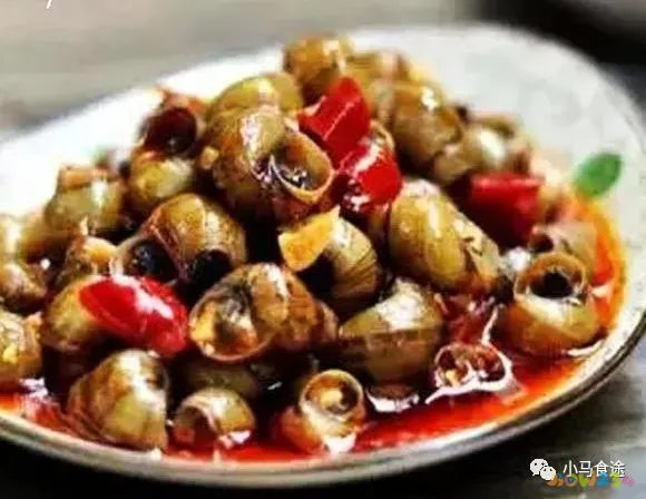 凉拌螺肉的家常做法_螺片凉拌_螺肉凉拌怎么做好吃