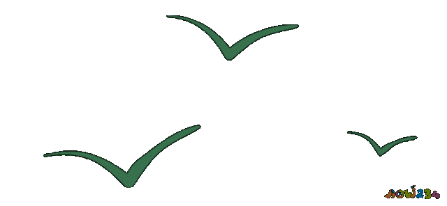 教我做家常菜_家常菜做法讲解_做家常菜教程