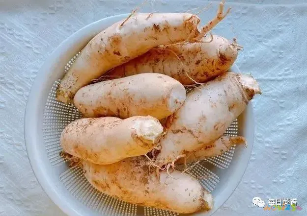 豆角炖肉的家常做法_炖肉的家常做法_萝卜炖肉的家常做法