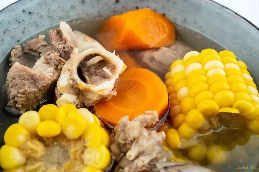 冬瓜烧排骨的家常做法红烧_排骨汤的家常做法_酱香排骨的家常做法