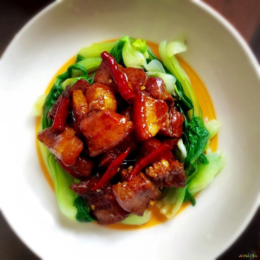 如何把红烧肉做的不腻_文怡家常菜 红烧肉_如何让红烧肉好吃