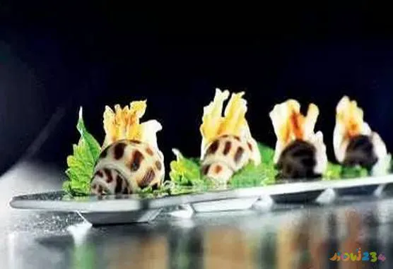 干海螺肉片_海螺肉干怎么做好吃_干海螺肉的家常做法