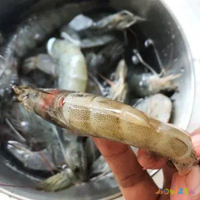 干锅香辣虾的家常做法_干锅鸡翅虾的家常做法_麻辣虾香锅的家常做法