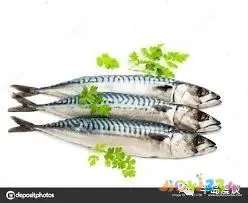 家常清蒸鸦片鱼的做法_清蒸鸦片鱼图片无水印_清蒸鸦片鱼步骤