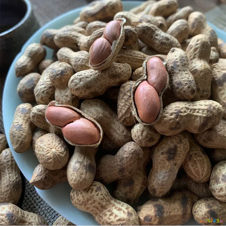 中秋家常菜_365天健康饮食家常养生保健菜_家常美食07名师快手私房菜